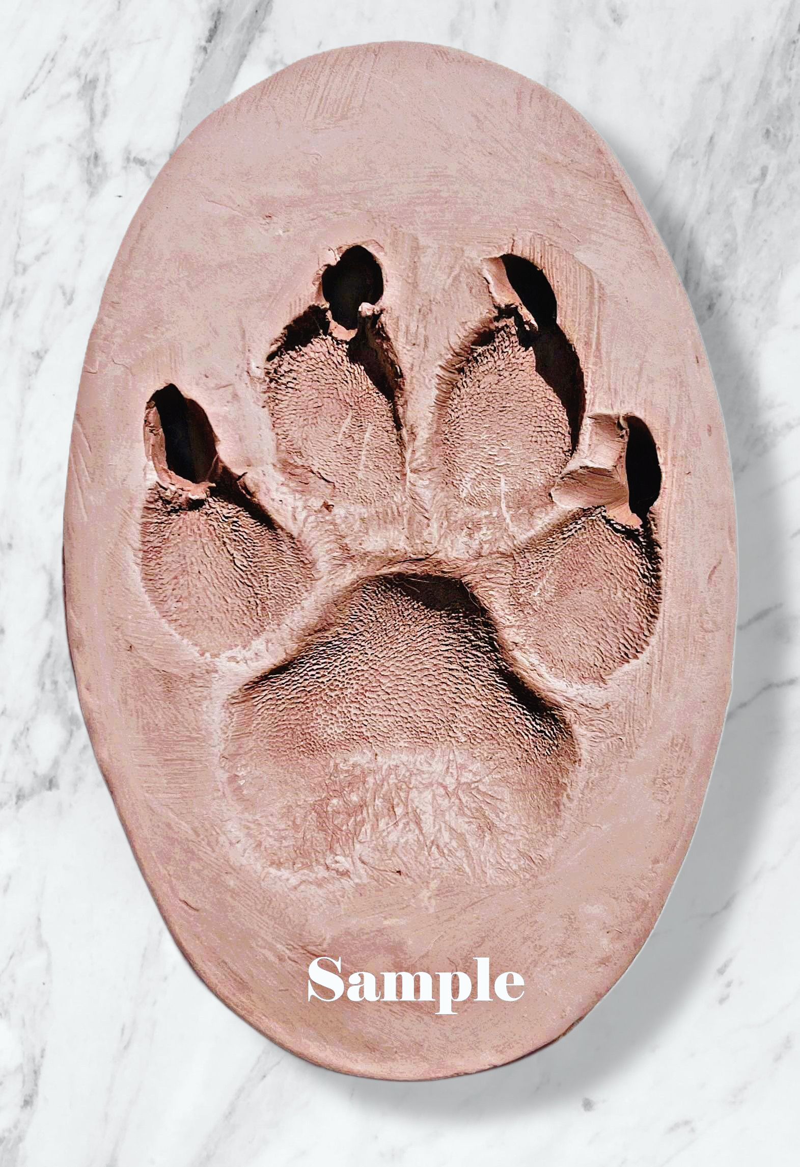 Clay Paw Print (No Frame)