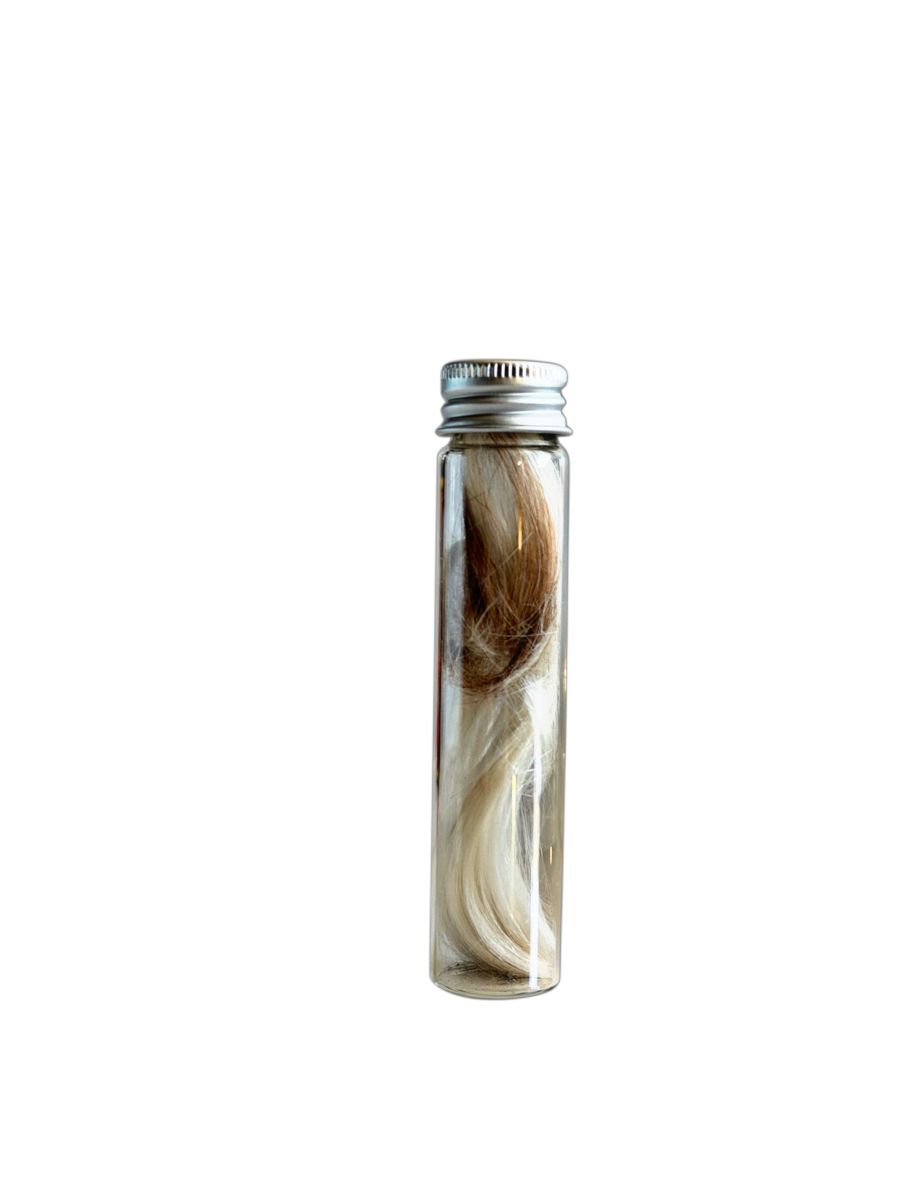 Lock of Hair in Glass tube