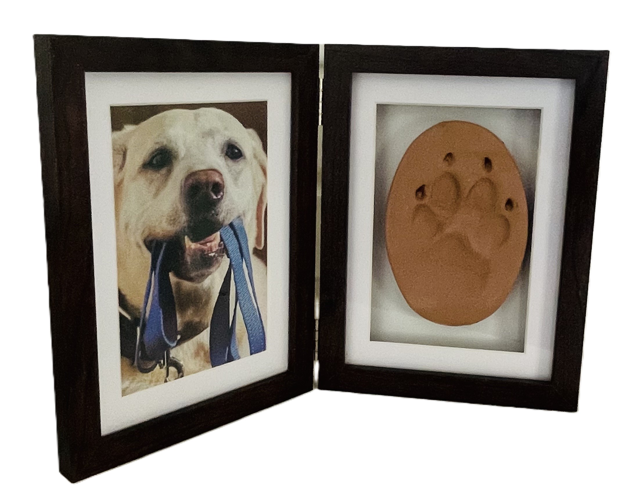 Photo Paw Print (Terracotta Clay)