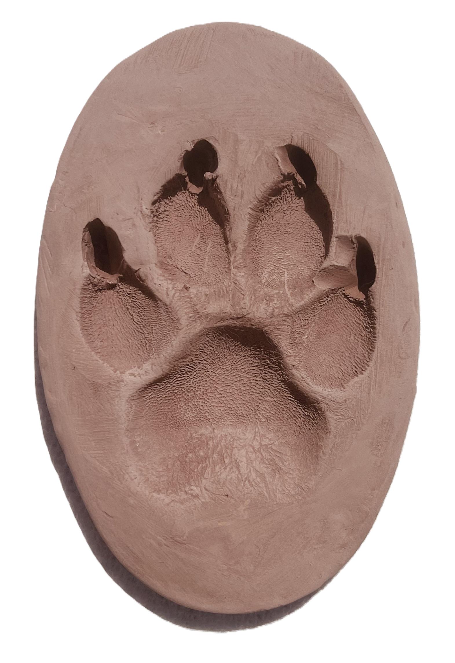 Clay Paw Print (No Frame)