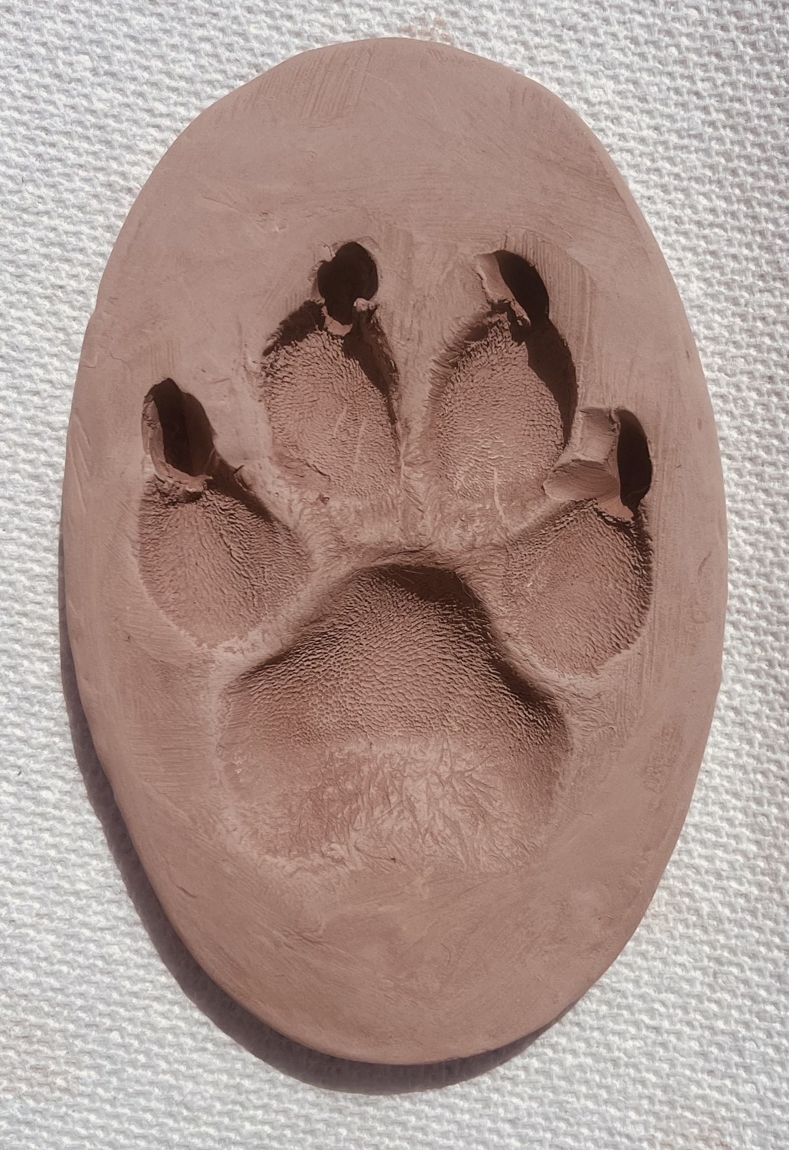 Clay Paw Print (No Frame)