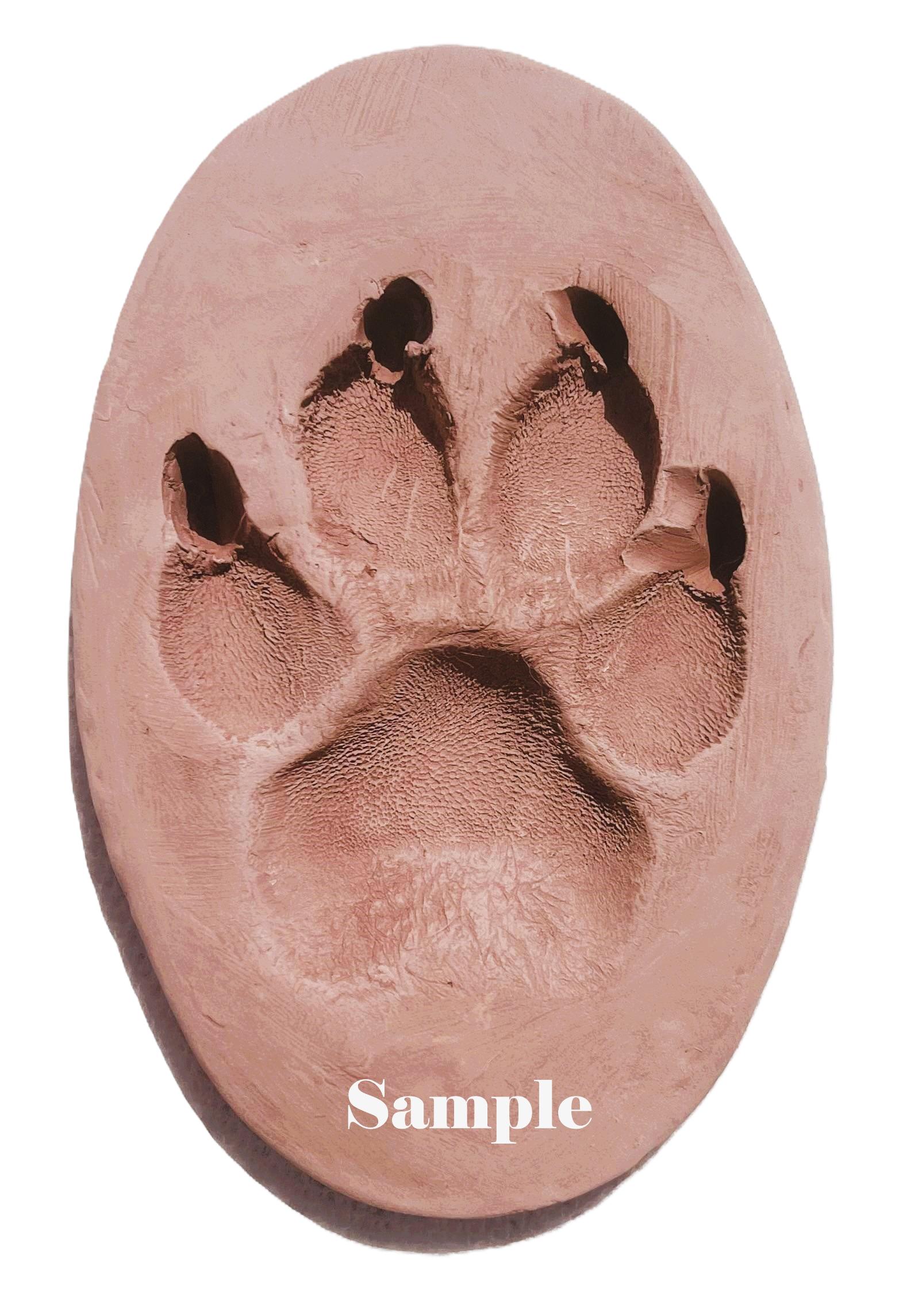 Paw Print with Engraving (No Frame)