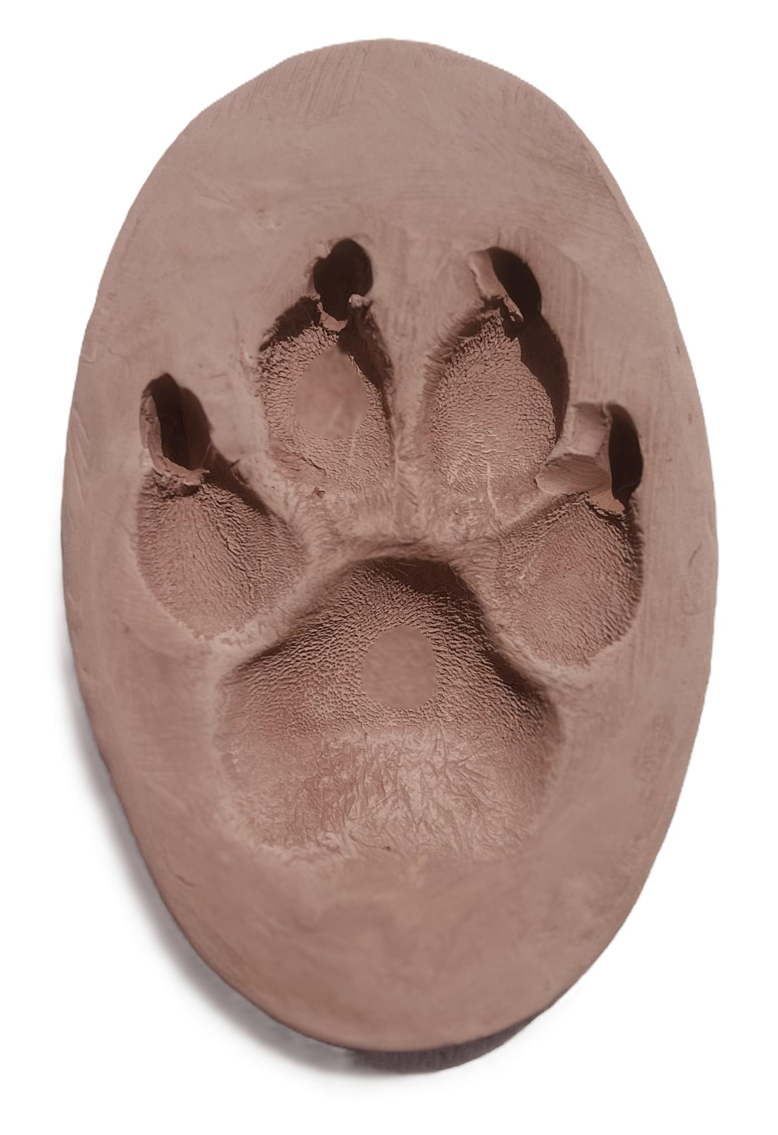 Clay Paw Print (No Frame)