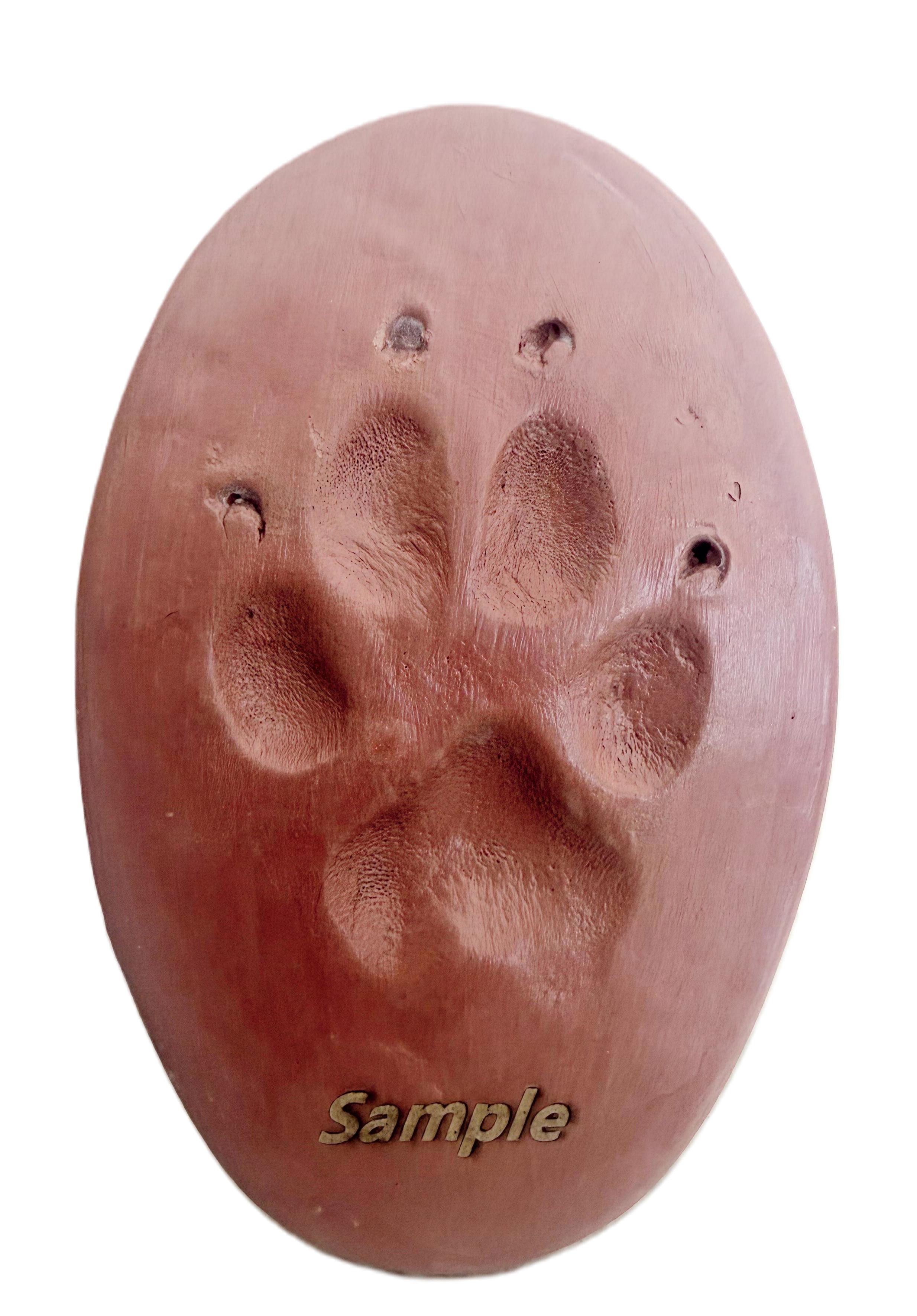 Paw Print with Engraving (No Frame)